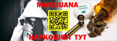 сатива Коммунар