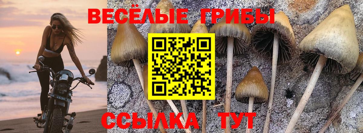 Псилоцибиновые грибы Magic Shrooms  Вход с VPN  Дербент 