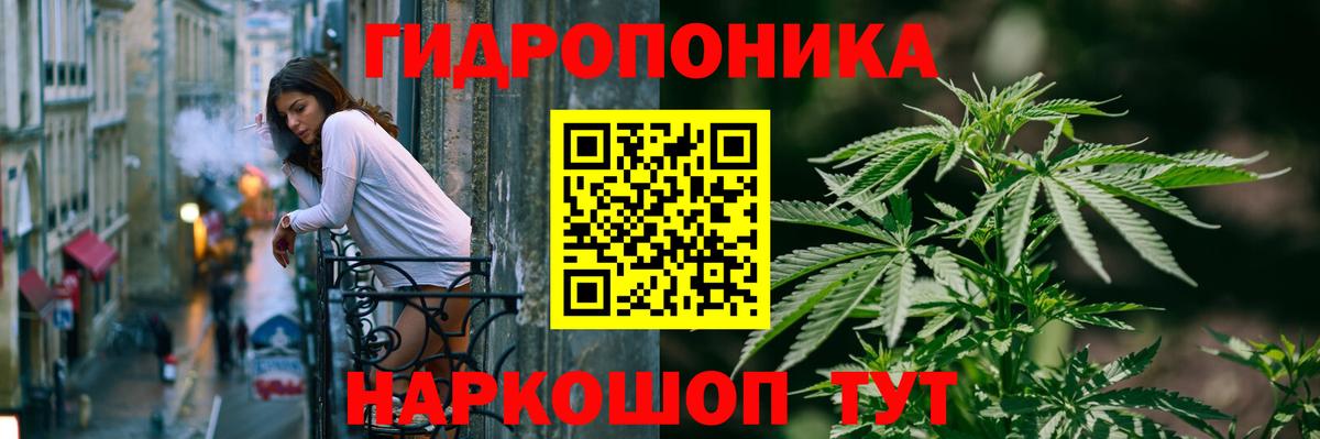 Бошки Шишки OG Kush  Вход с VPN  Канабис семена  Дербент  Бошки Шишки OG Kush 
